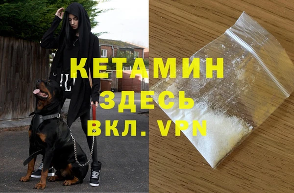 a pvp Аркадак