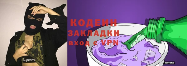 прущий лед Арсеньев