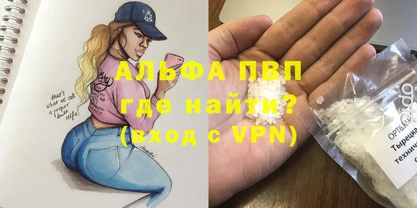 a pvp Аркадак